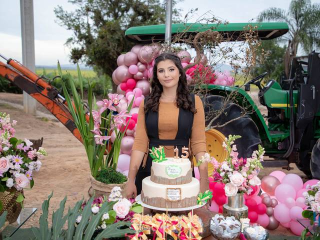 15 anos de 15 Anos da Ana Clara