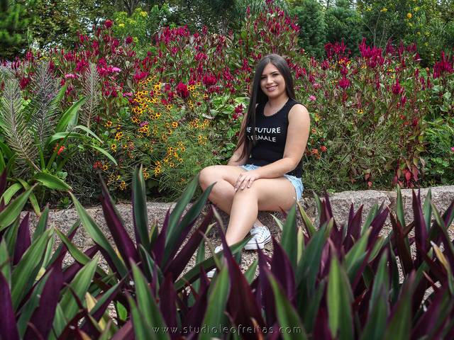 Book 15 anos de 15 Anos Pamella 