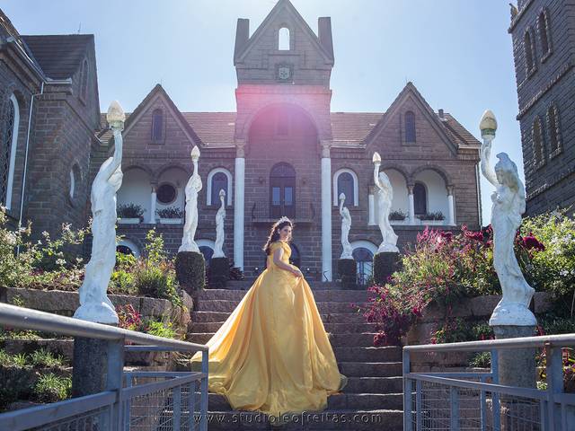 Book 15 anos de Book Victoria 15 anos