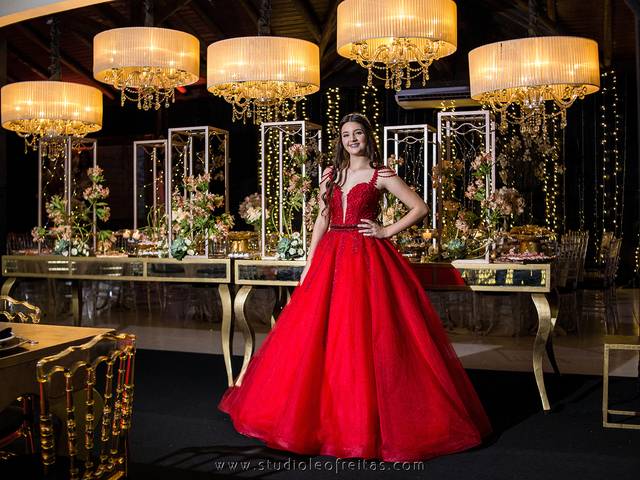 15 anos de 15 Anos - Brenda