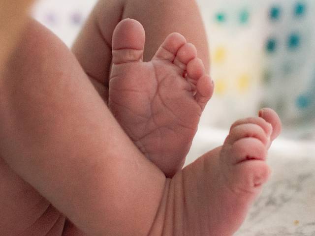 NASCIMENTOS de Fotos Que Mostram Um Nascimento Entre Olhares e Cuidados.