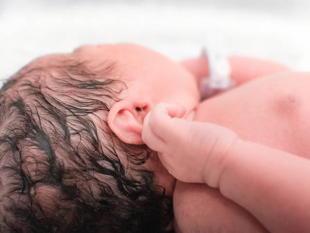 NASCIMENTOS de Um Nascimento Que Já Era Esperado Por Muitos