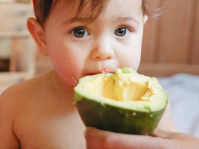 Smash the Cake / Fruit de Smash the Fruit – Heloisa