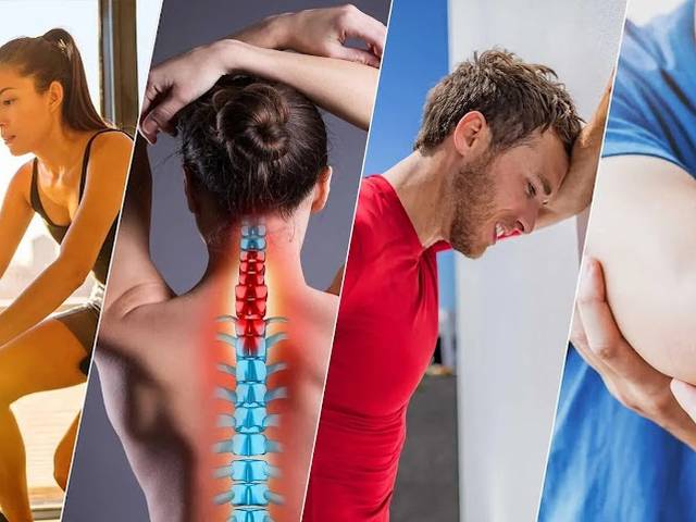 Health of Arthro MD+ Joint Support French: We Tested It for 90 Days - the Real Science Behind