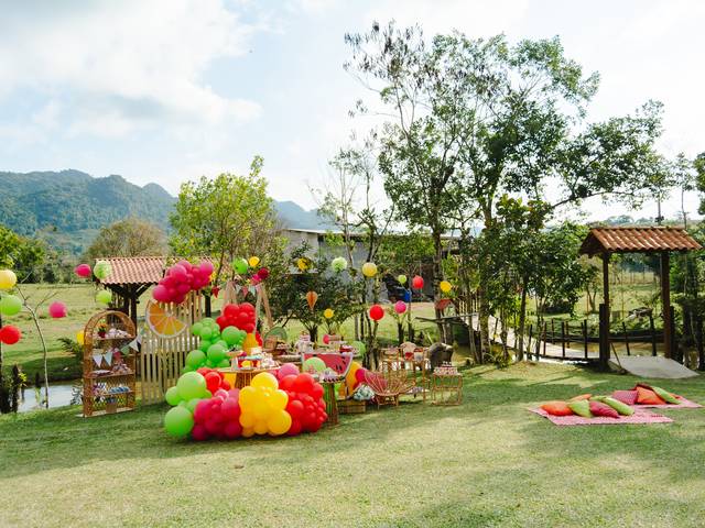 Festa Infantil de 7 anos da Duda