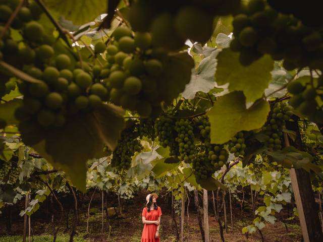 Ensaio Pessoal de Ensaio de 30th | Jéssica Mayer