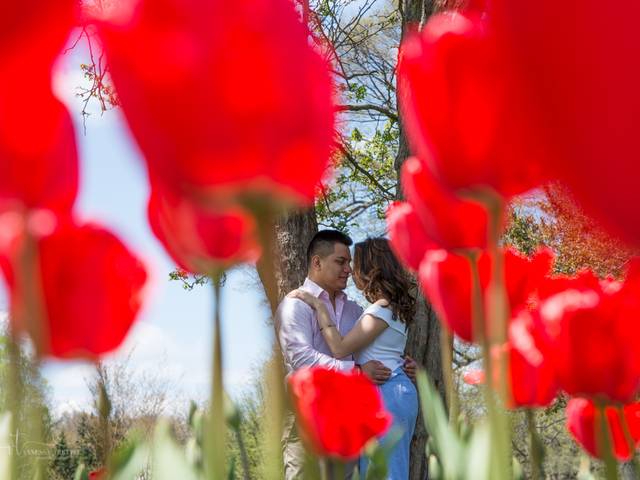 Couple/engagement of Carol & Yobani