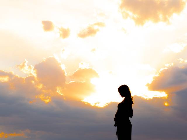 Gestante de Paula e Neto