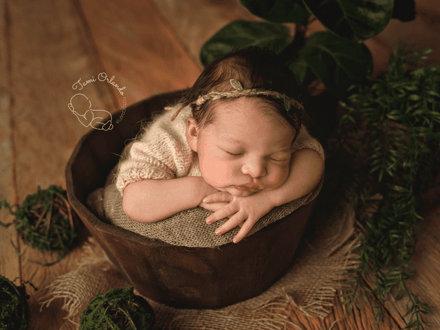 Primeiros Dias de 7 dias da Catarina 