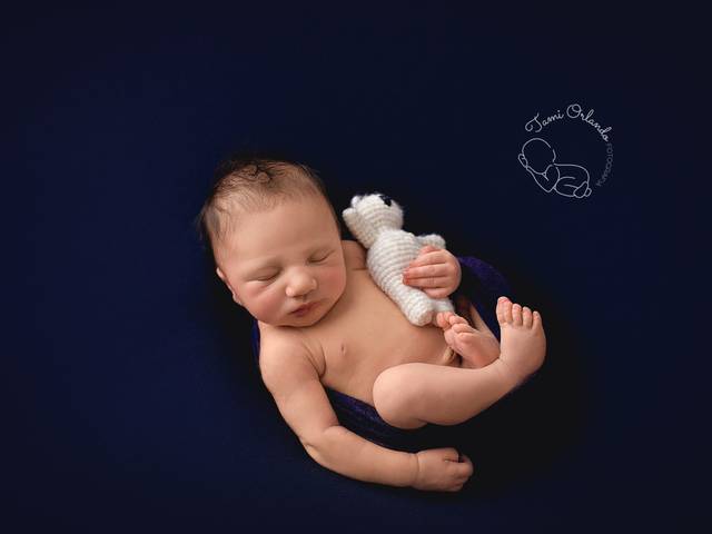 Primeiros Dias de 11 dias do Pedro