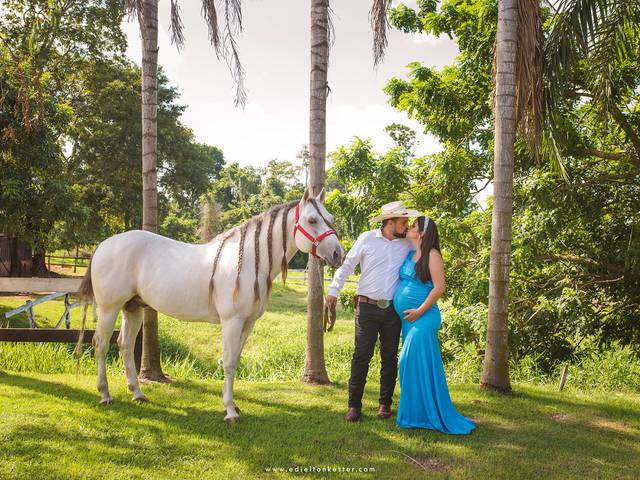 Gestantes de Gestaçao da Pricila 