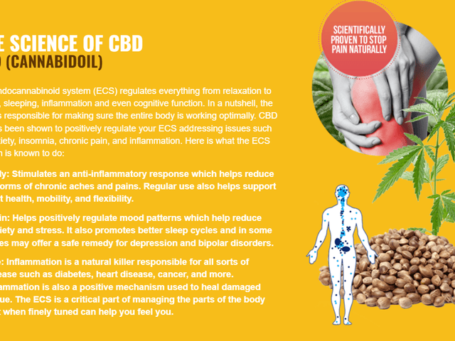 Element Organics Hemp Gummies Australia of Element Organics Hemp Gummies Australia for Anxiety and Sleep Plant-Based Support for Restful Nights and Calm Days