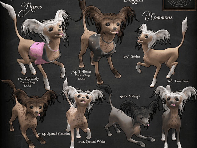 Pets de Cachorro - 9