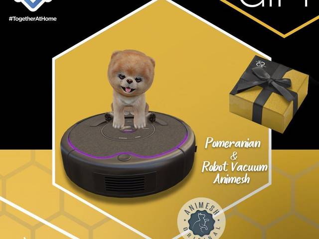 Pets de [Rezz Room] Box Pomeranian & Robot Vacuum Animesh