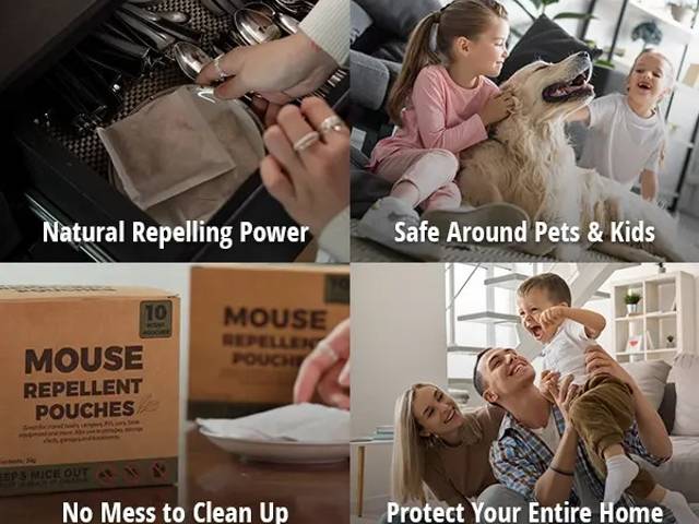 Mouse Repellent of Pest Vault Mouse Repellent Reviews 2026: My Honest Verdict