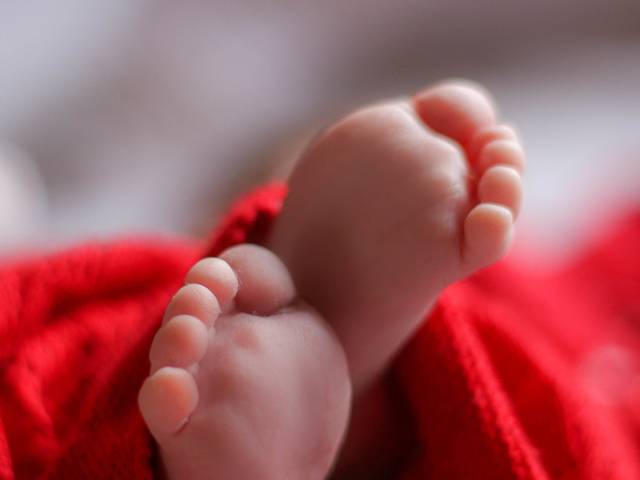 Acompanhamento de Acompanhamento mensal - Maitê