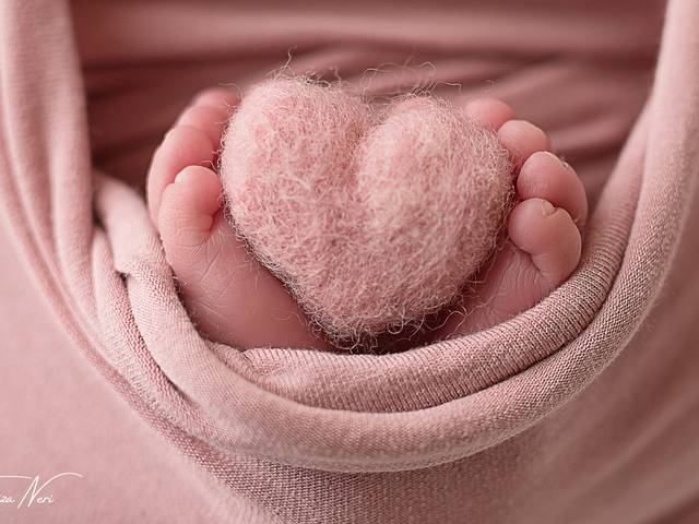 Newborn de Newborn Ester