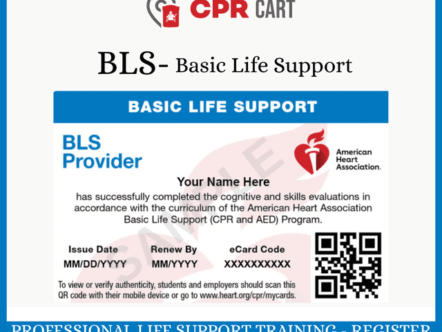 CPR Classes of BLS Courses