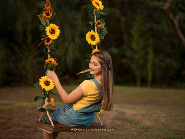 Book dos Quinze de Liana Lopes