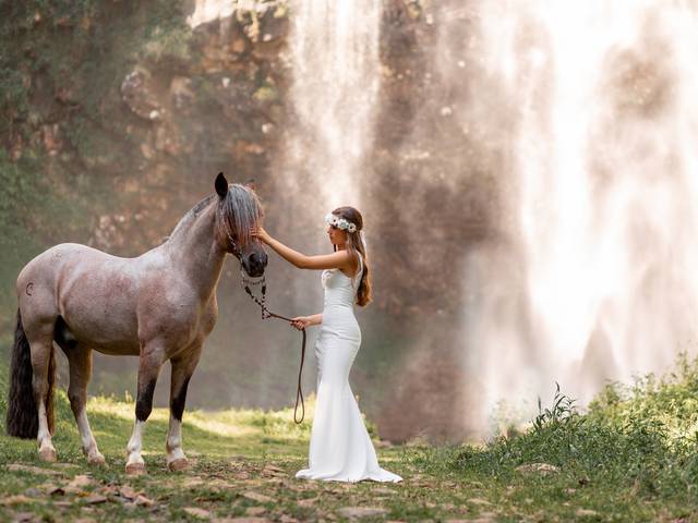 Book dos Quinze de Eduarda Camargo