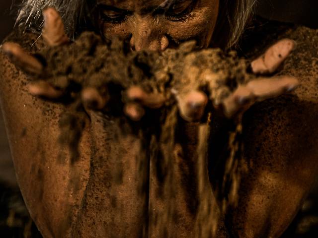 Projetos Especiais   de Mulher Selvagem