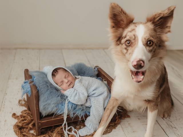 Ensaio NewBorn de NewBorn Thomás 