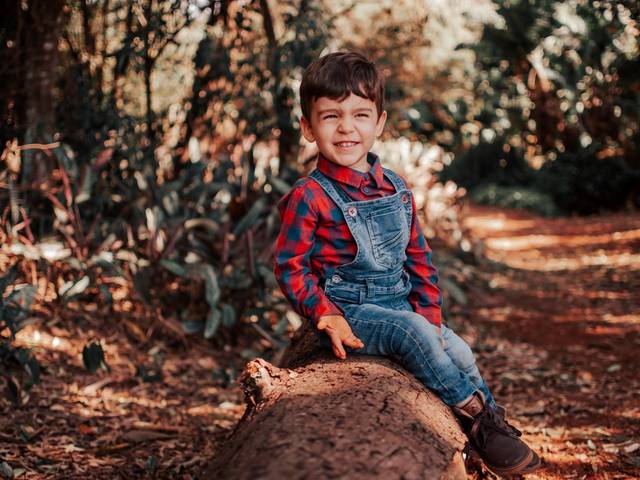 Ensaio 1 Ano de Ensaio 2 Anos Arthur