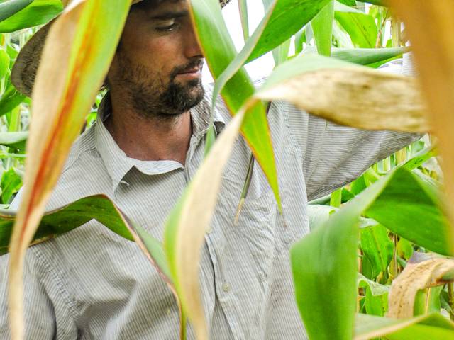 CORPORATIVO de Itarana