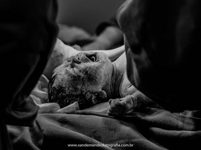 Gestante de Manoel Neto - NASCIMENTO