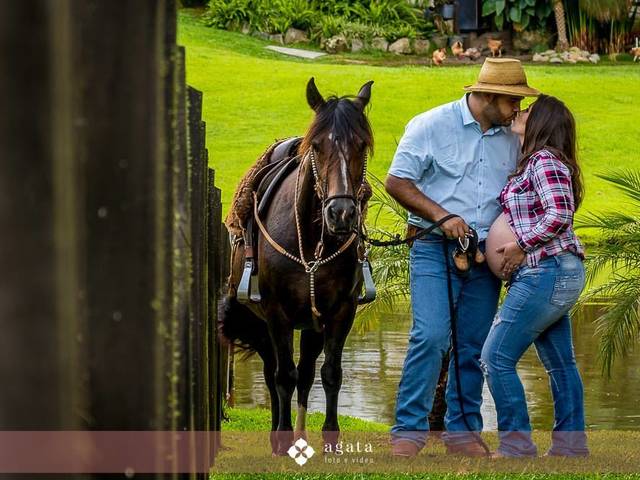 Ensaios de Carol - Ensaio Gestante