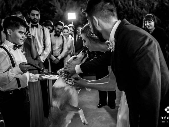 Casamentos de Dani e Ricardo