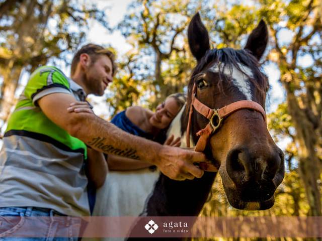 Ensaios de Ensaio em família
