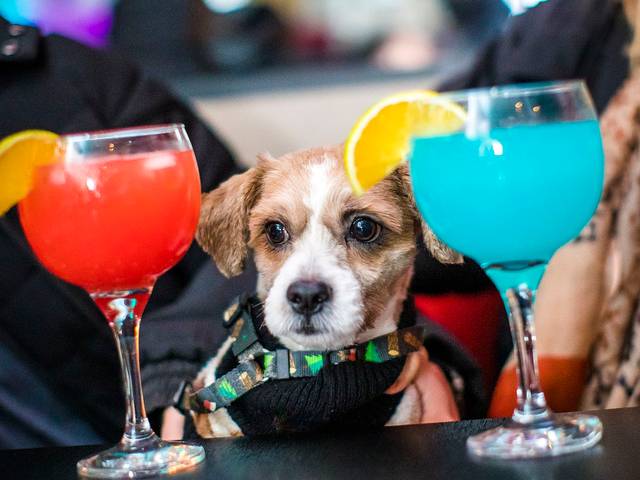 Bares de 2022-05-19 Maria Bonjour