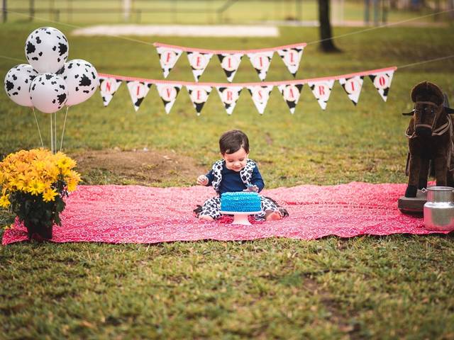 Ensaio Infantil de Smash the Cake Bento