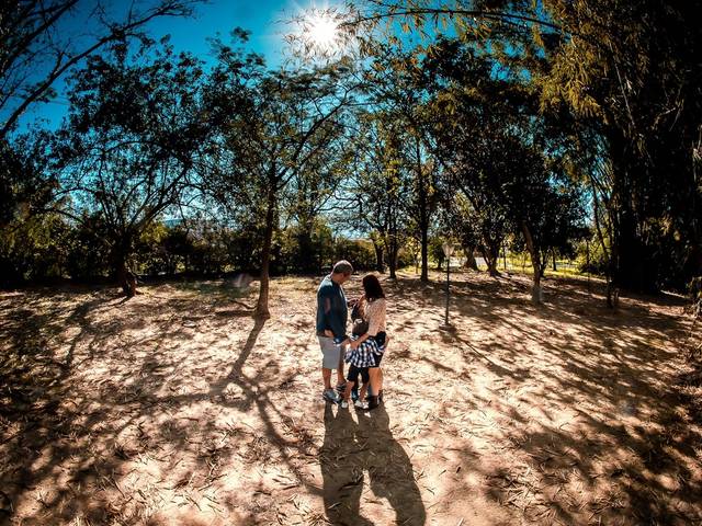 Ensaio Família de Figueiredo