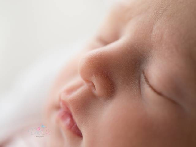 Newborn de Ensaio Newborn da Alice 