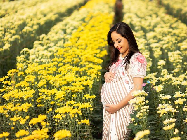 Gestante de Ensaio Gestante da Morgana