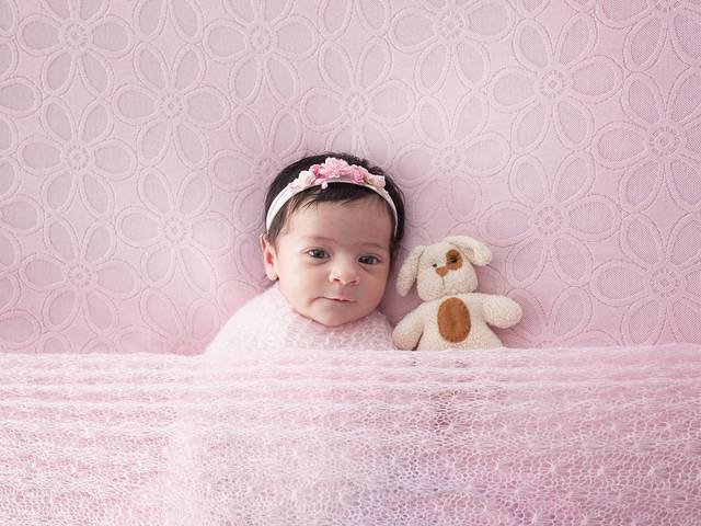 Newborn de Ensaio Newborn da Rafaela