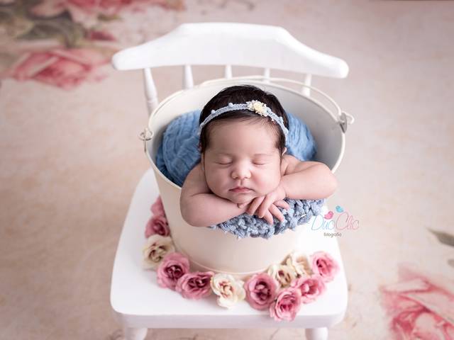 Newborn de Ensaio Newborn da Sofia