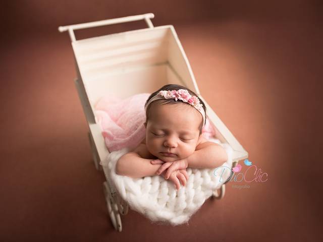 Newborn de Ensaio Newborn da Pietra