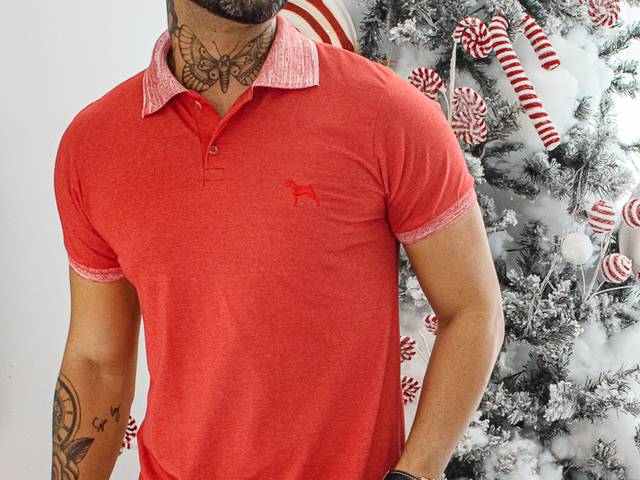 MODA de Catálogo MR Dog