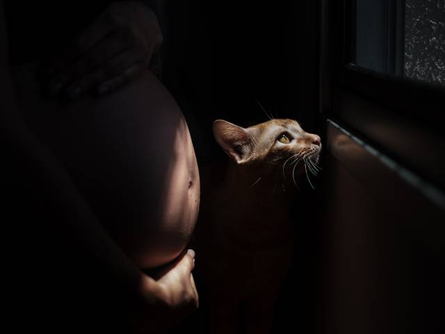 Gestantes de Chisley, Leandro, Naruto e Amor esperando o Théo