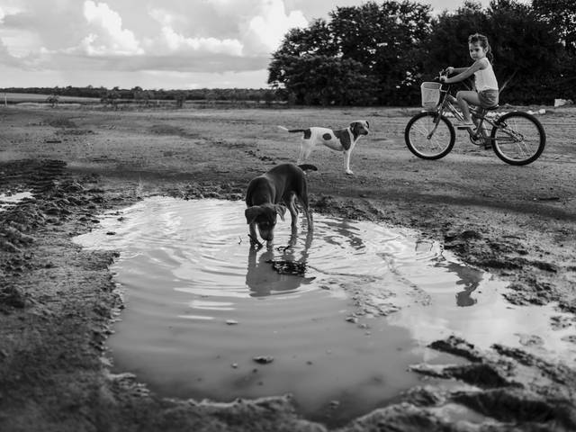 Os Retratos da Vida de Uma tarde na Fazenda