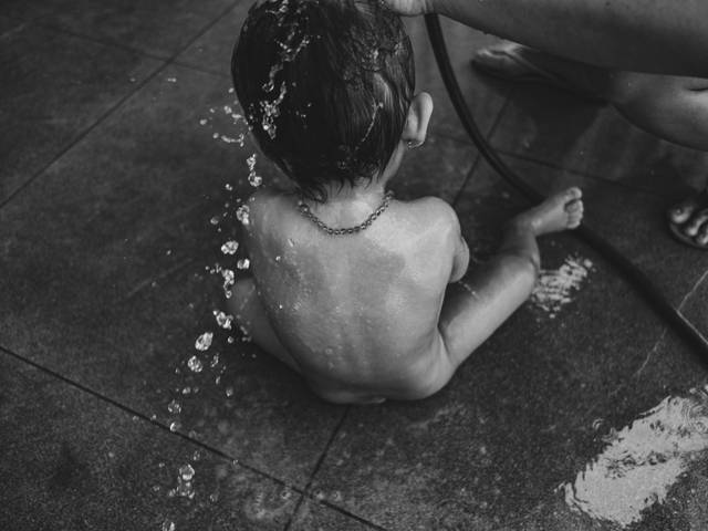 Os Retratos da Vida de Os Retratos da Sofia