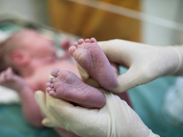 Nascimentos de Nascimento do Pedro 