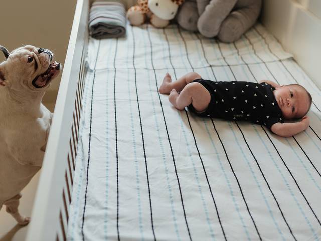 Nascimentos de Nascimento e Primeiros Dias do Noah