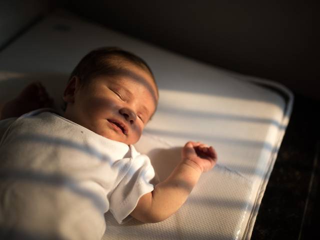 Em Família de Benjamin