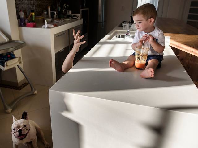 Os Retratos da Vida de Noah