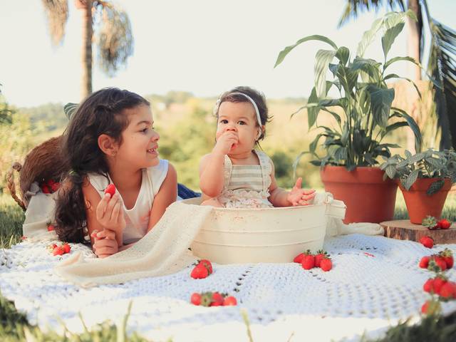 Smash the Fruit  de Smash the Fruit Helena 