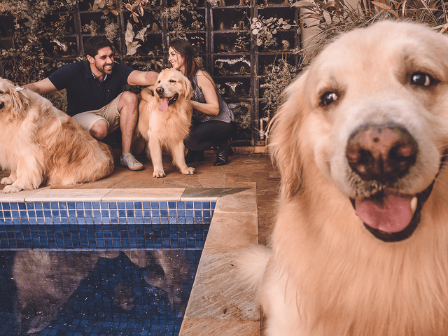 ENSAIOS de Patricia e Paulo